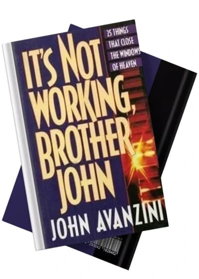 Cover of It's Not Working, Brother John